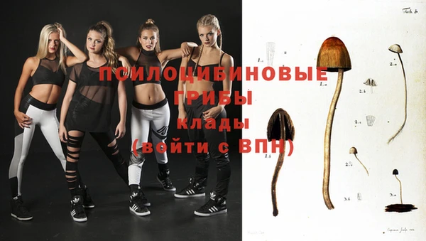 первитин Вяземский