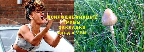 первитин Вяземский