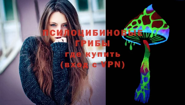 стафф Вязьма