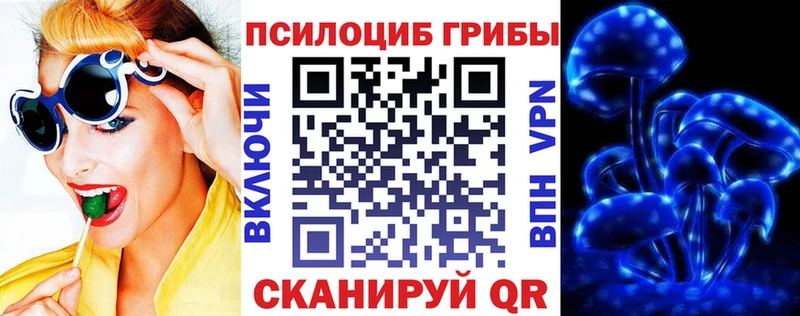 Псилоцибиновые грибы прущие грибы  Павловская 